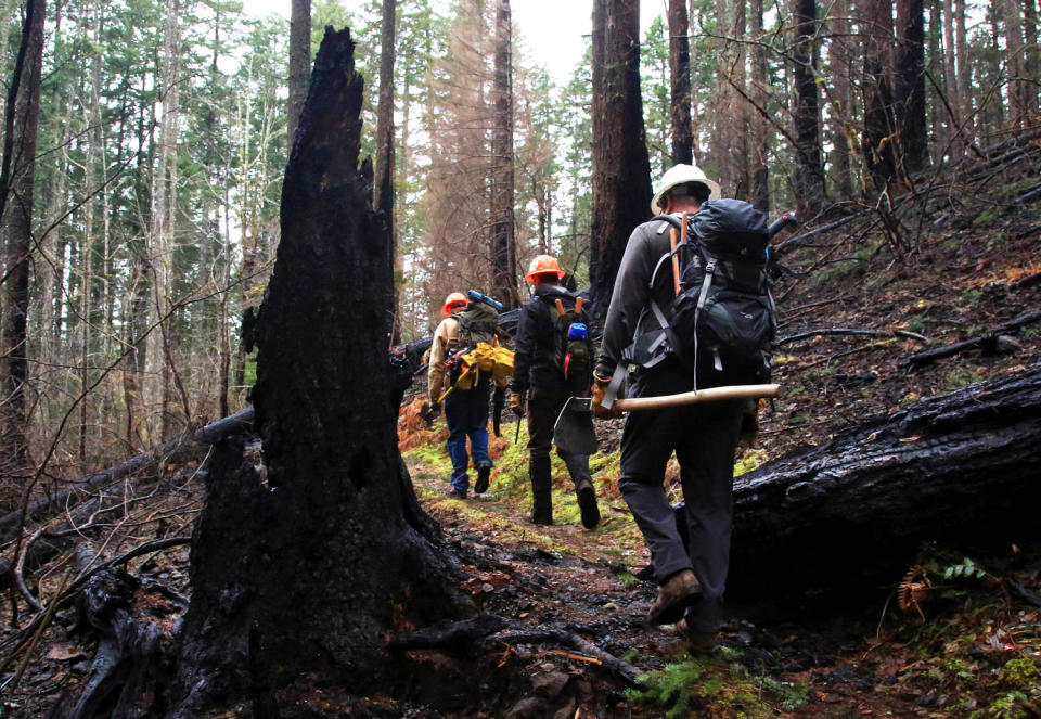 Trail crew workers hiking (Jamie Hale / The Oregonian via AP file)