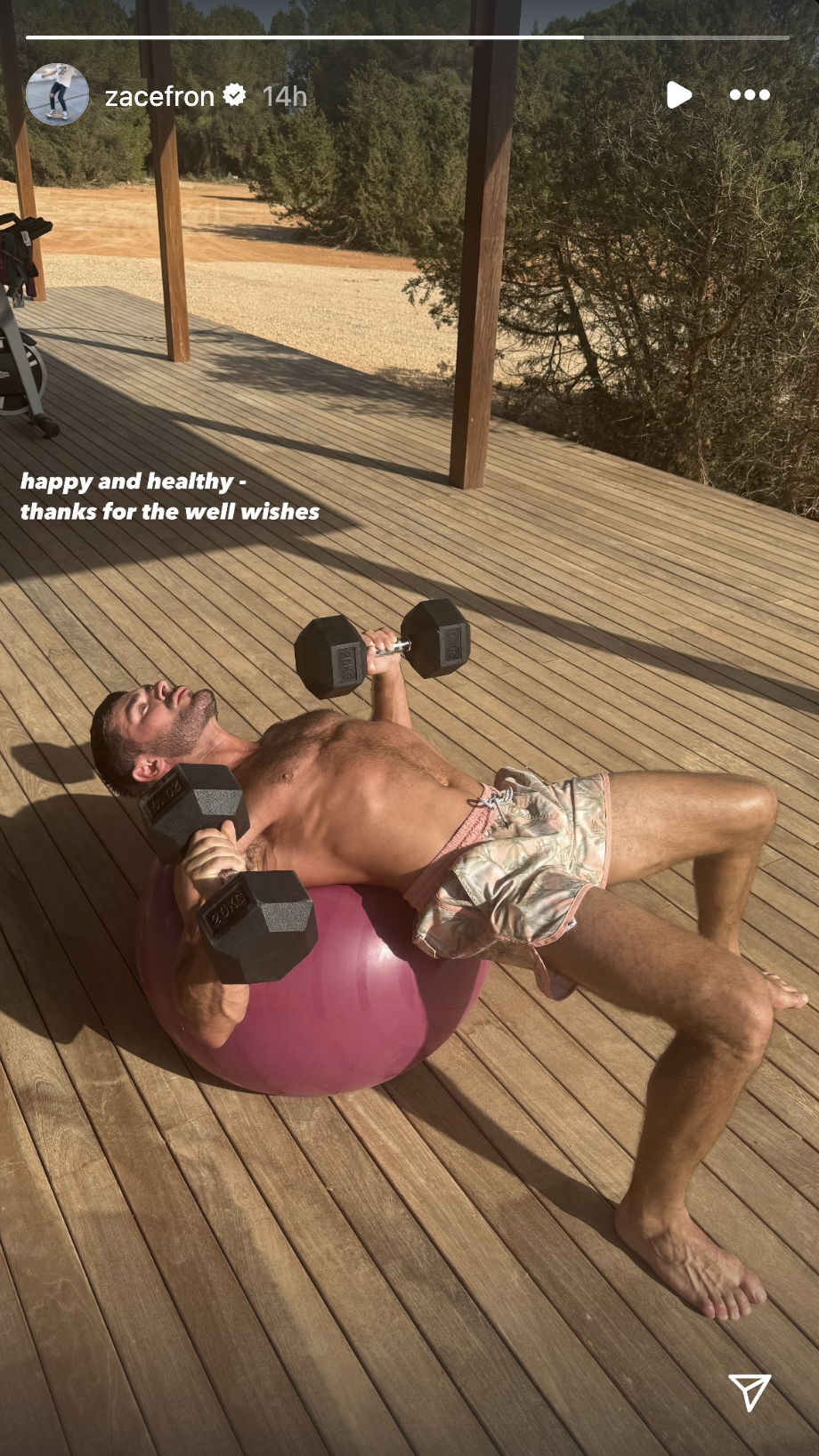 A screenshot from social media shows Efron lifting weights. His caption reads: happy and healthy - thanks for the well wishes.