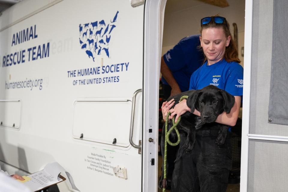 The Humane Society of the United States assists Caldwell County following the rescue of approximately 60 dogs and cats from an alleged cruelty case.