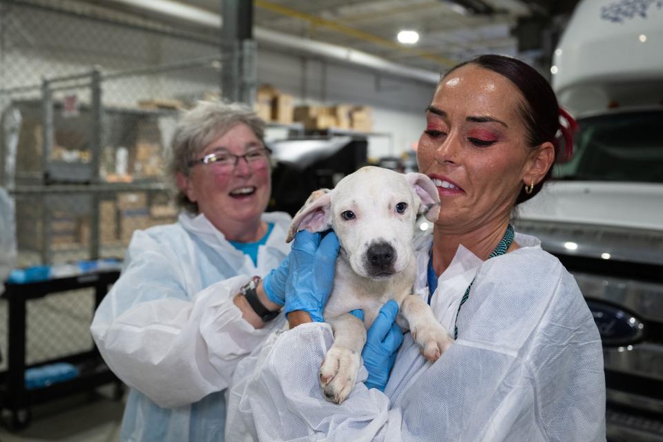 The Humane Society of the United States assists Caldwell County following the rescue of approximately 60 dogs and cats from an alleged cruelty case.