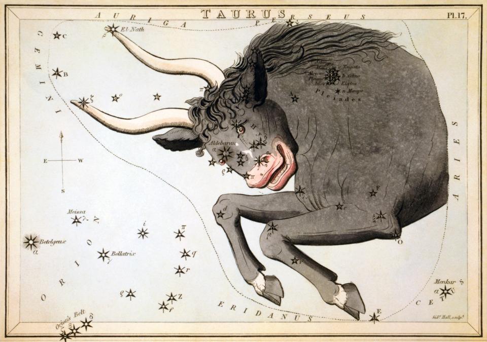 a vintage illustration of a bull, with stars marked for the taurus constellation overlaid on top of the bull