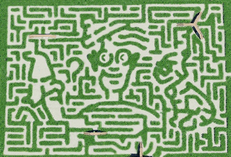 A birds-eye view of a past I-Spy Where’s Waldo maze at Davis Mega Maze. Submitted Photo