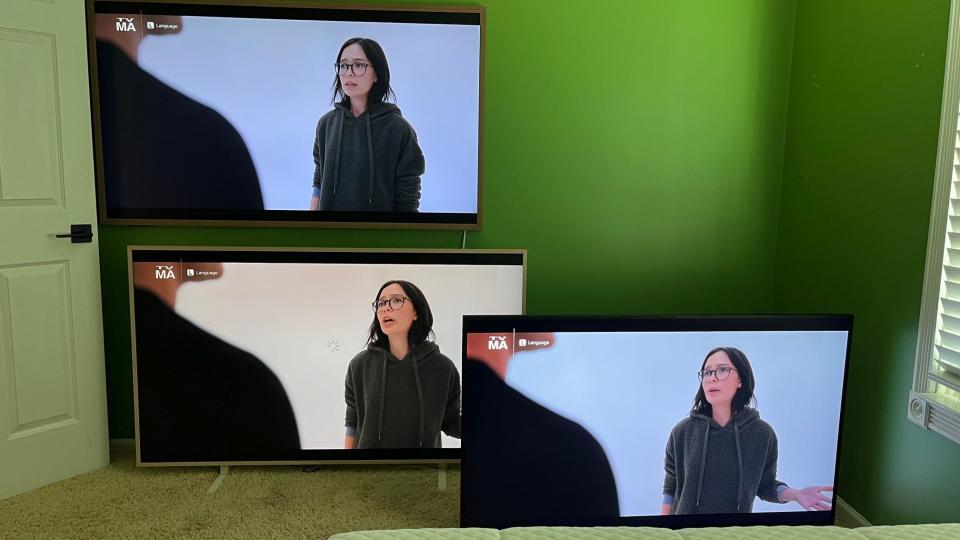 A photo showing the same scene on the Hisense CanvasTV, TCL Nxtframe (center) and Samsung Frame.