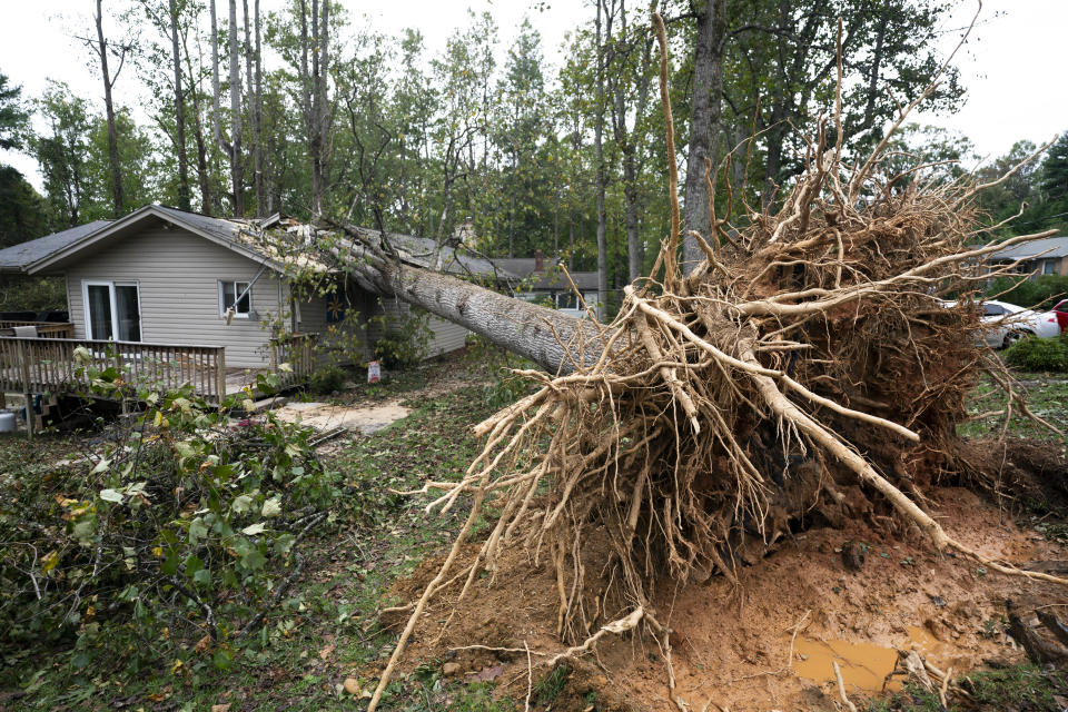 A fallen tree on a home in the aftermath of Hurricane Helene on Sept. 28 in Asheville, N.C. 