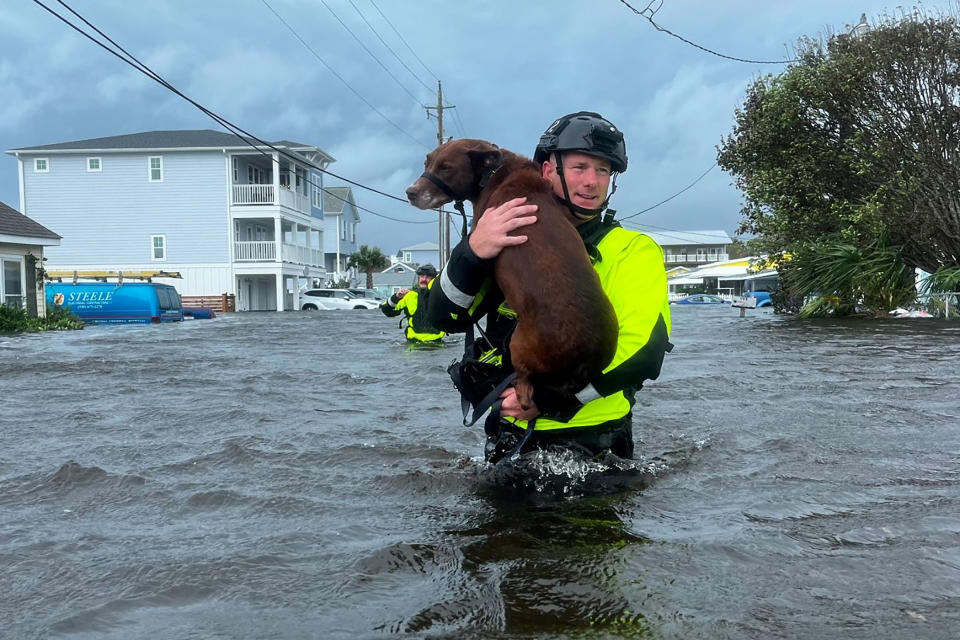 A crew member of the Wilmington Fire Department's high water rescue truck carrying a dog 