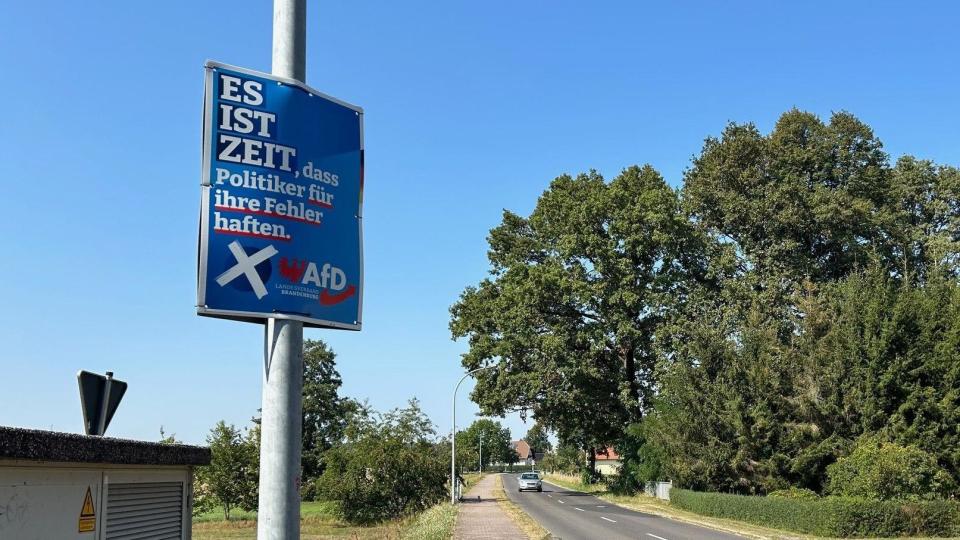 An AfD campaign sign is seen by a road - it says "It is time that politicians answer for their mistakes"