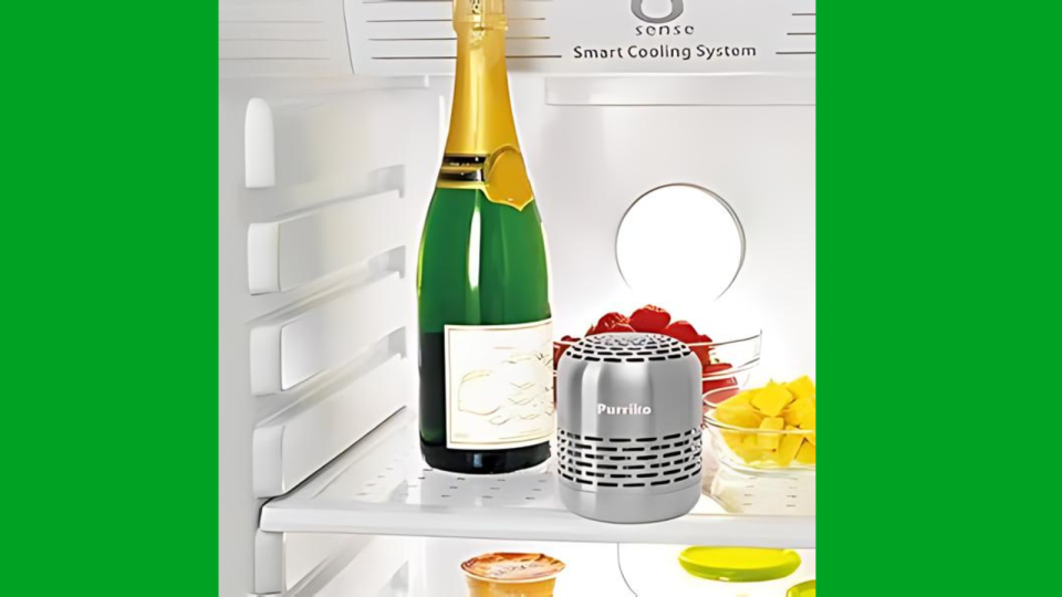 The Purriko refrigerator deodorizer in a fridge next to a bottle of champagne and bowls of fruit