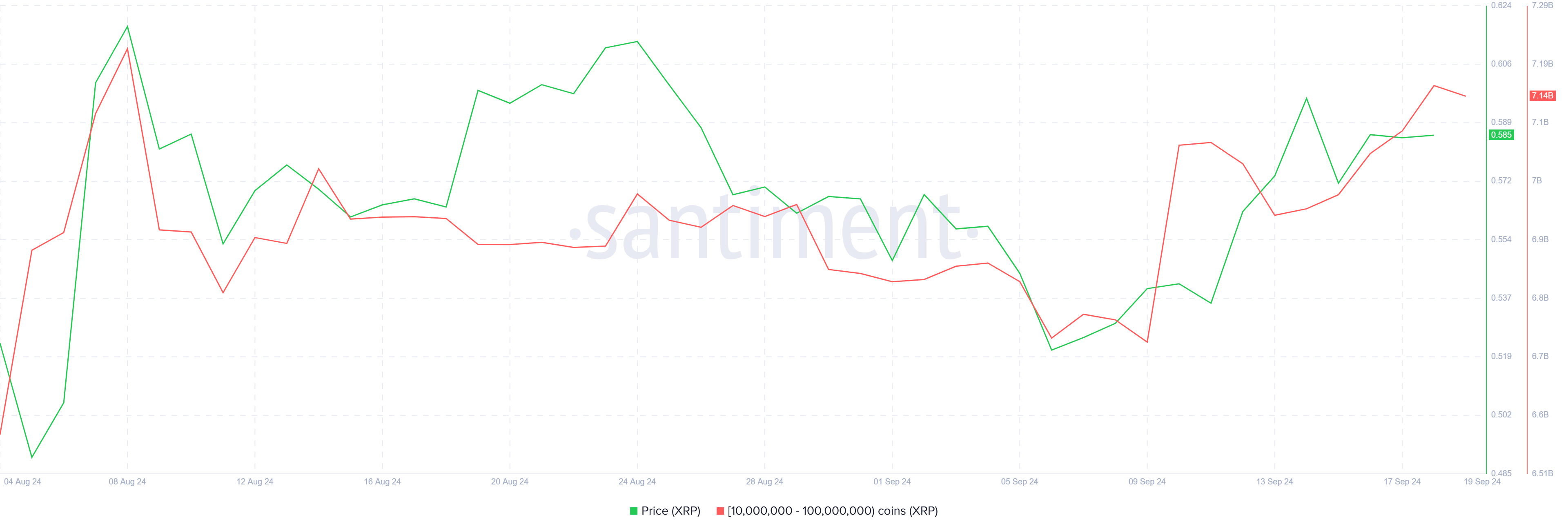 XRP Whale Holdings. 