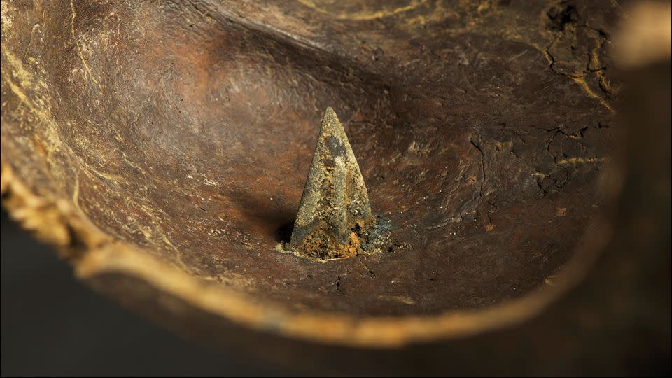 An ancient skull recovered from the Tollense Valley site was found perforated with a bronze arrowhead. - Volker Minkus/Minkusimages