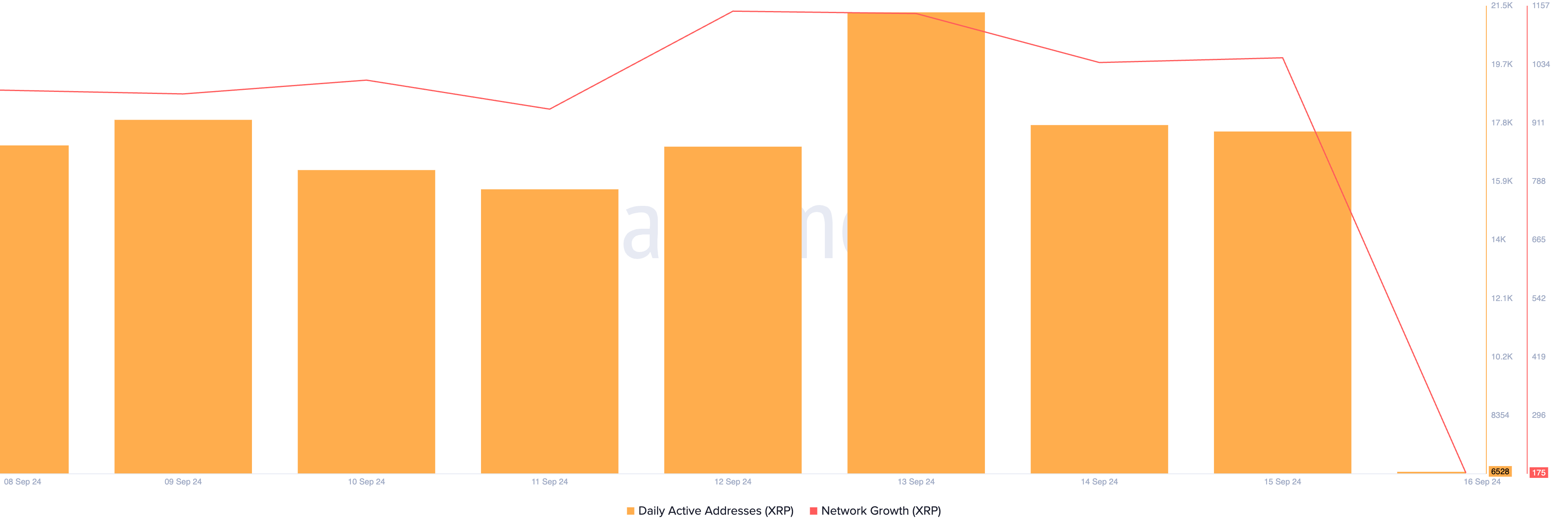 xrp network activity