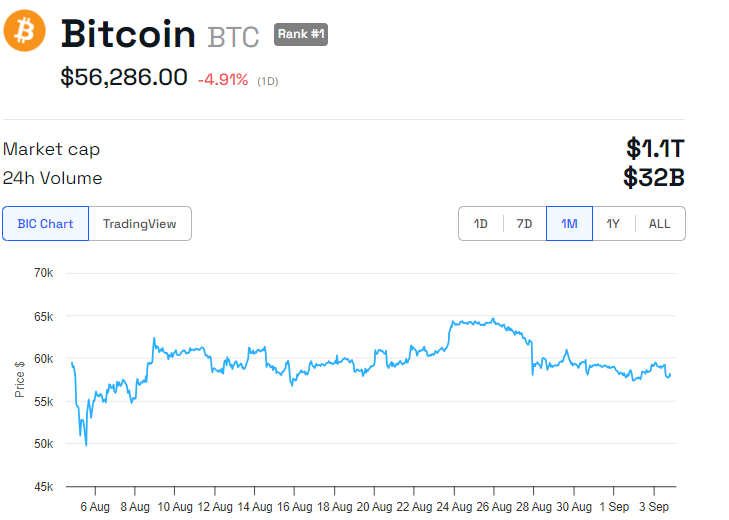 Bitcoin Price Performance