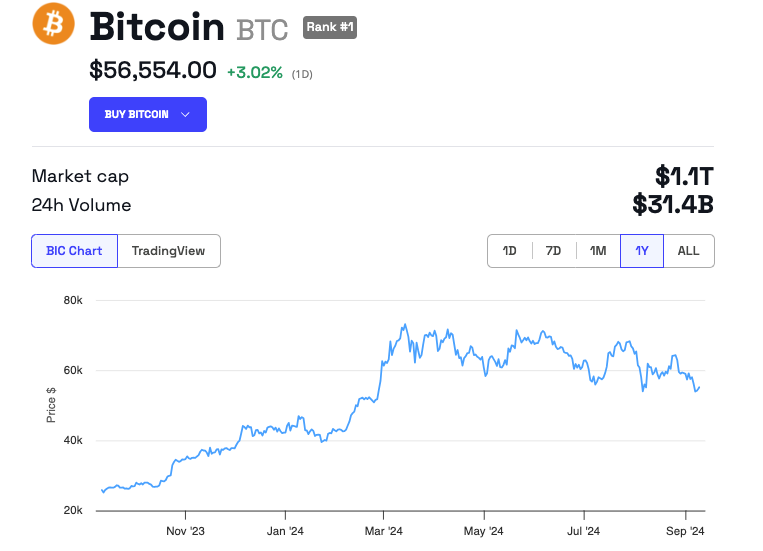 Bitcoin Price Performance