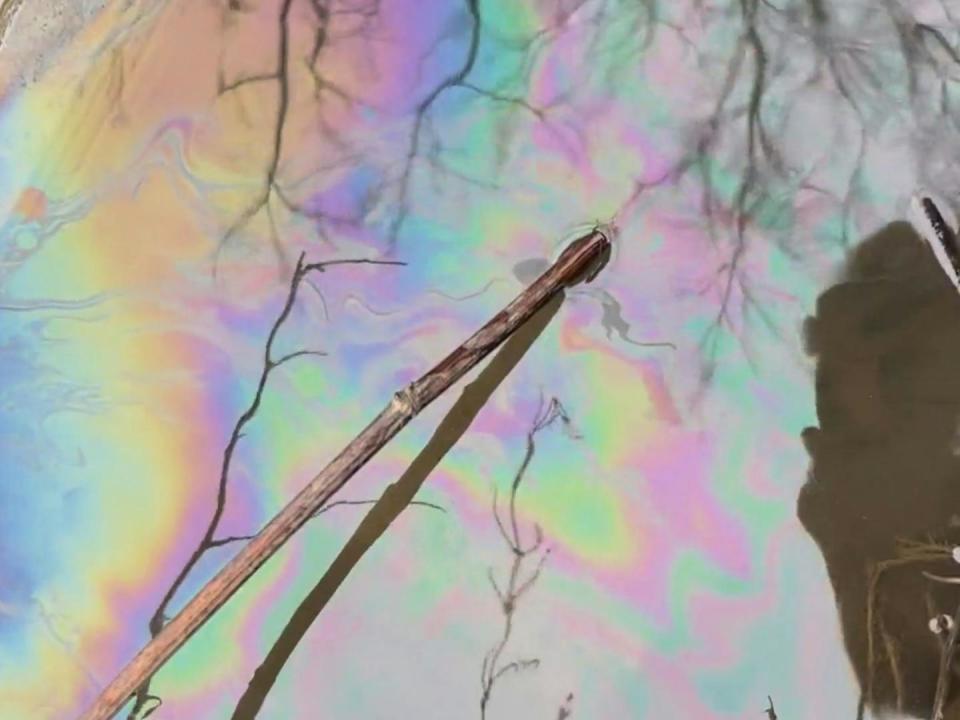 A close-up of a stick in a creek shows the rainbow-colored sheen from chemicals