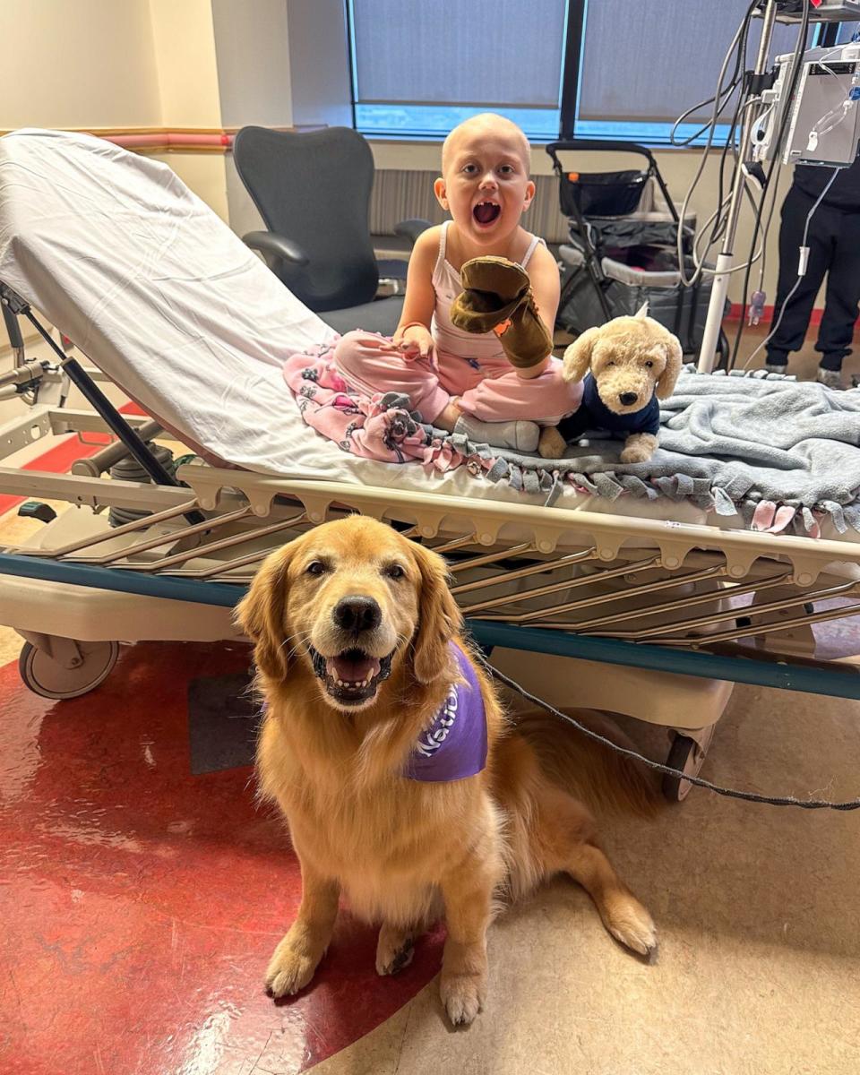 PHOTO: Amara with therapy dog Ellie and a golden retriever plush toy. (Courtesy of @EllieGoldenLife)