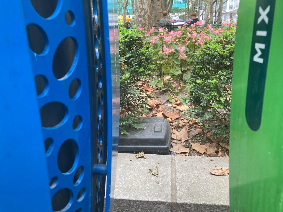 A rat trap set near trash cans in New York City's Bryant Park on Sept. 23, 2024.