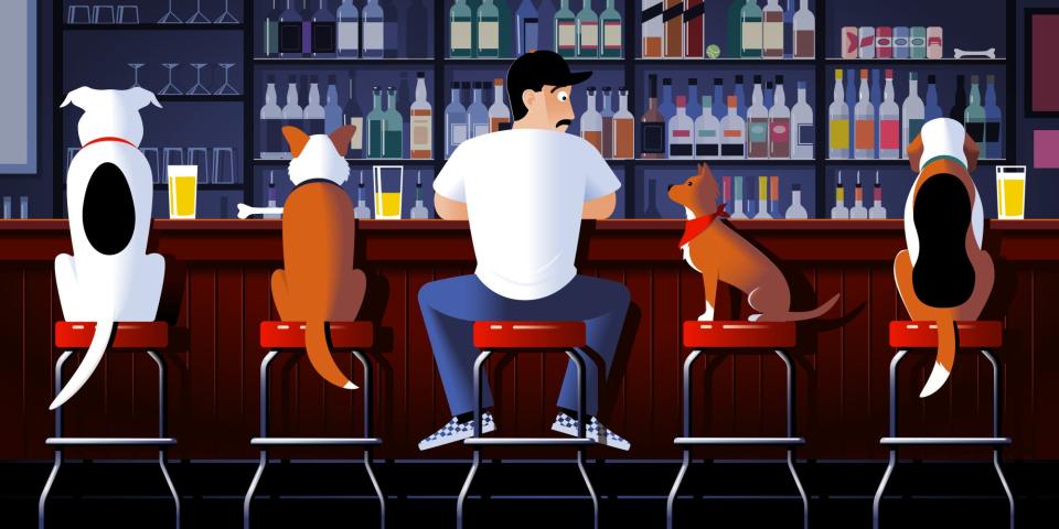 A man sits at a bar while being surrounded by dogs.