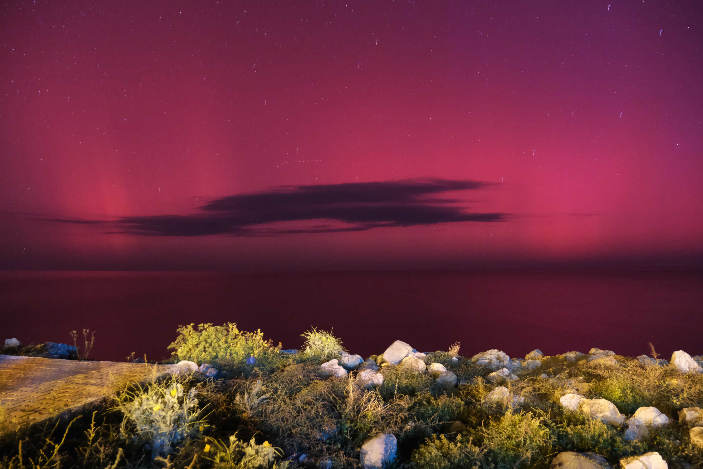 Aurora borealis behind vegetation and rocks.