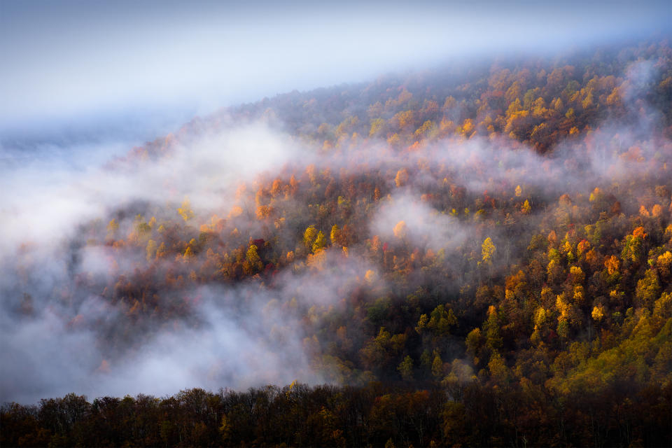 Early morning sunlight reveals mountainside with wisps of fog and  beautiful autumn colors