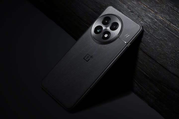 Leaked image of OnePlus 13.