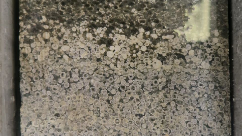 Spherules can be seen in this sample taken from another meteorite impact. - Nadja Drabon/Harvard University