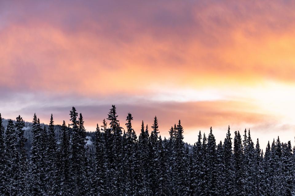 Incredible sunrise views in winter season from northern Canada with bright pink clouds, hue on mountains and snow covered landscape in boreal forest