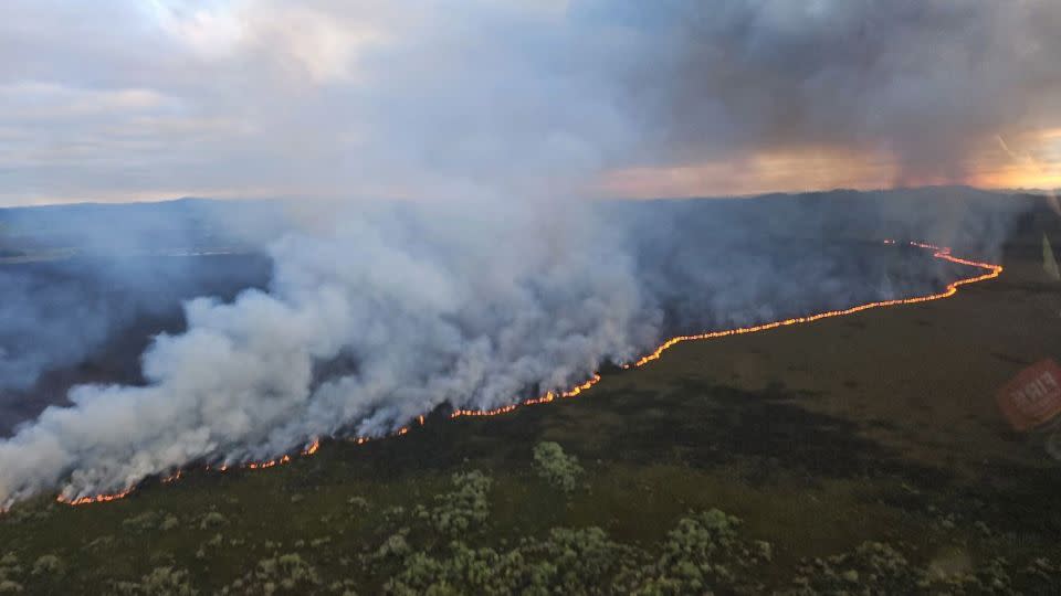 The fire began burning in the Waikato wetland on October 21, 2024. - Fire and Emergency New Zealand