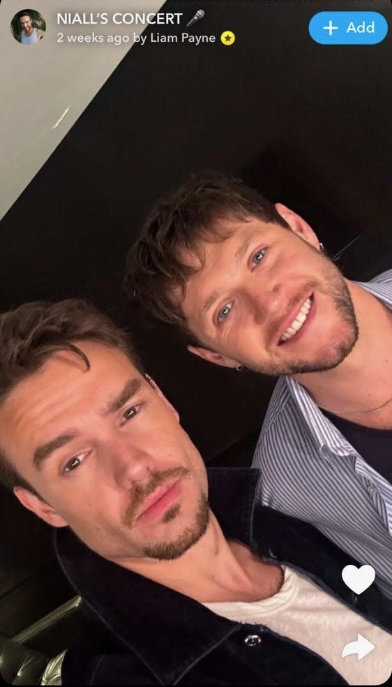 Payne attended the concert of former One Direction bandmate Niall Horan and shared selfies of them together.