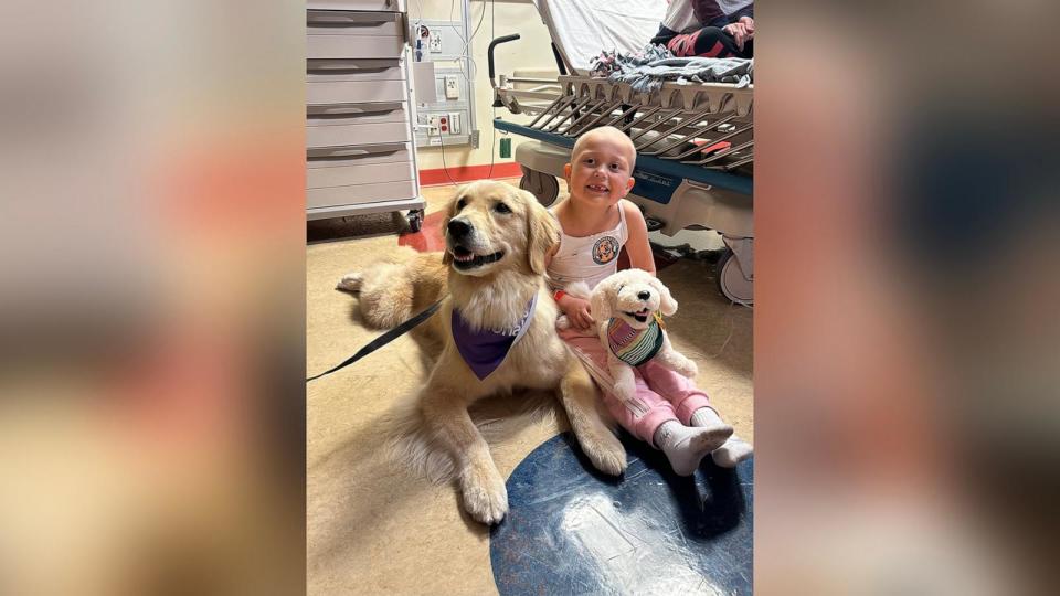 PHOTO: Amara, a patient at Children's National Hospital, smiles for a photo with Emma, a therapy dog and a golden retriever plush toy. (Courtesy of @EllieGoldenLife)