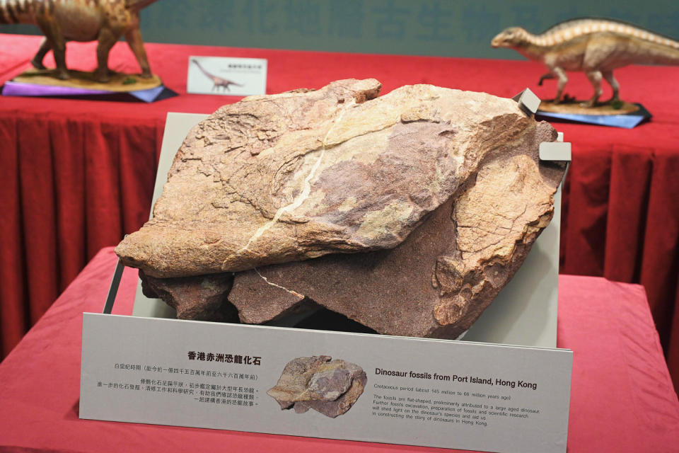 Fossils in Hong Kong (HK.Gov)