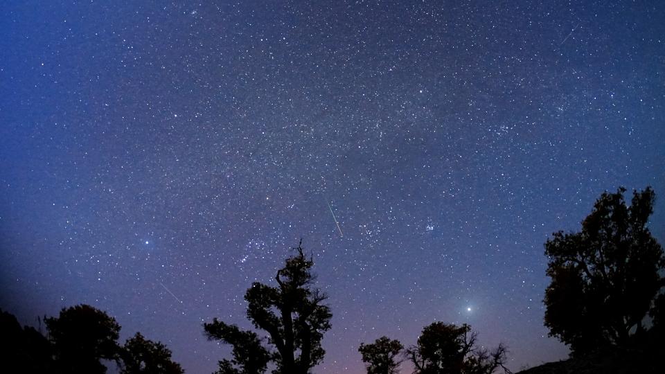  A bright streak of light crosses the night sky above silhouettes of trees. 