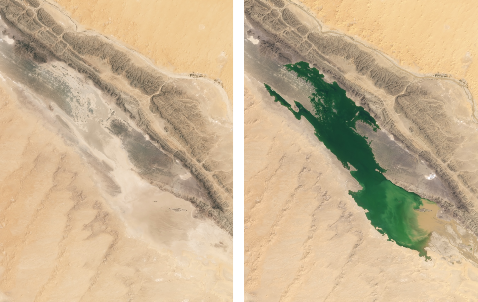 Satellite images show Sebkha el Melah in Algeria before (left) and after (right) heavy rains in early September. NASA