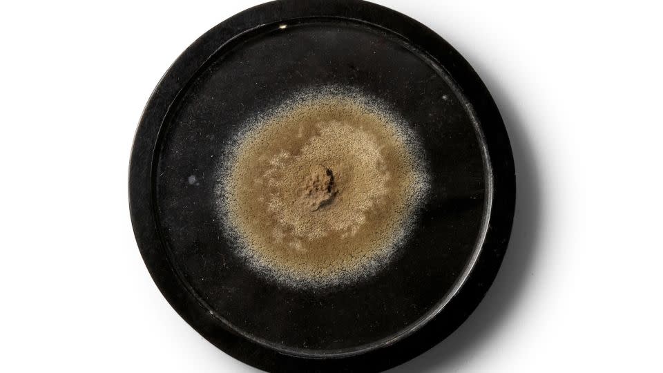 The mold medallion will be auctioned by Bonhams later this month. - Bonhams