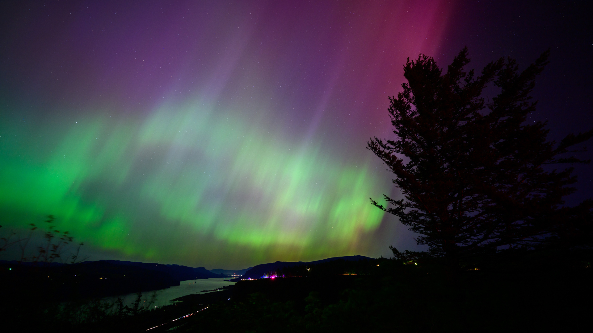  A sky filled with green ribbons of light with some red pillars of light at the top and a tree on the right. . 