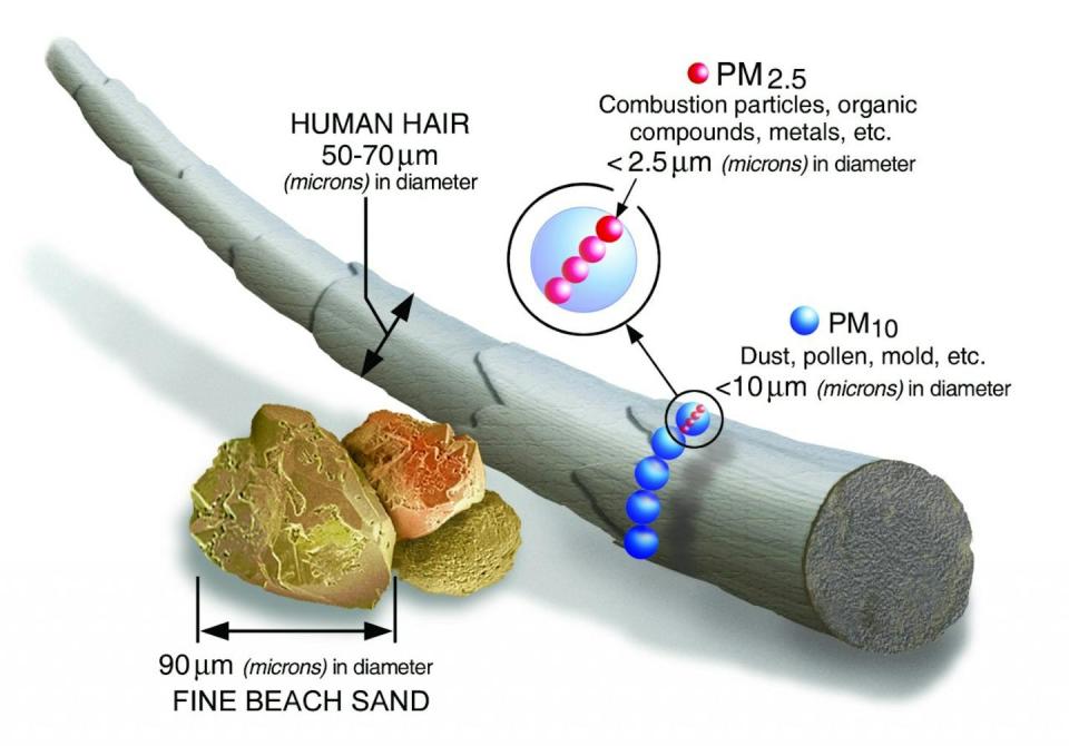 Graphic illustration comparing sizes of particulate matter, from fine beach sand to human hair.