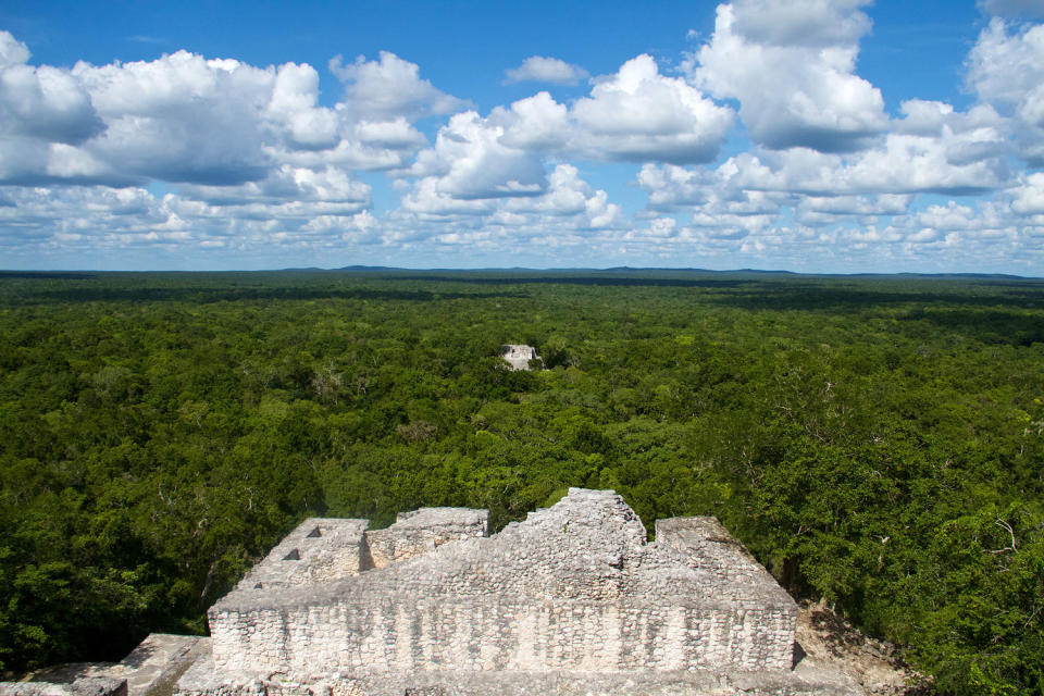 Calakmul Biosphere Reserve in Campeche Mexico (Philip Dumas / Getty Images)