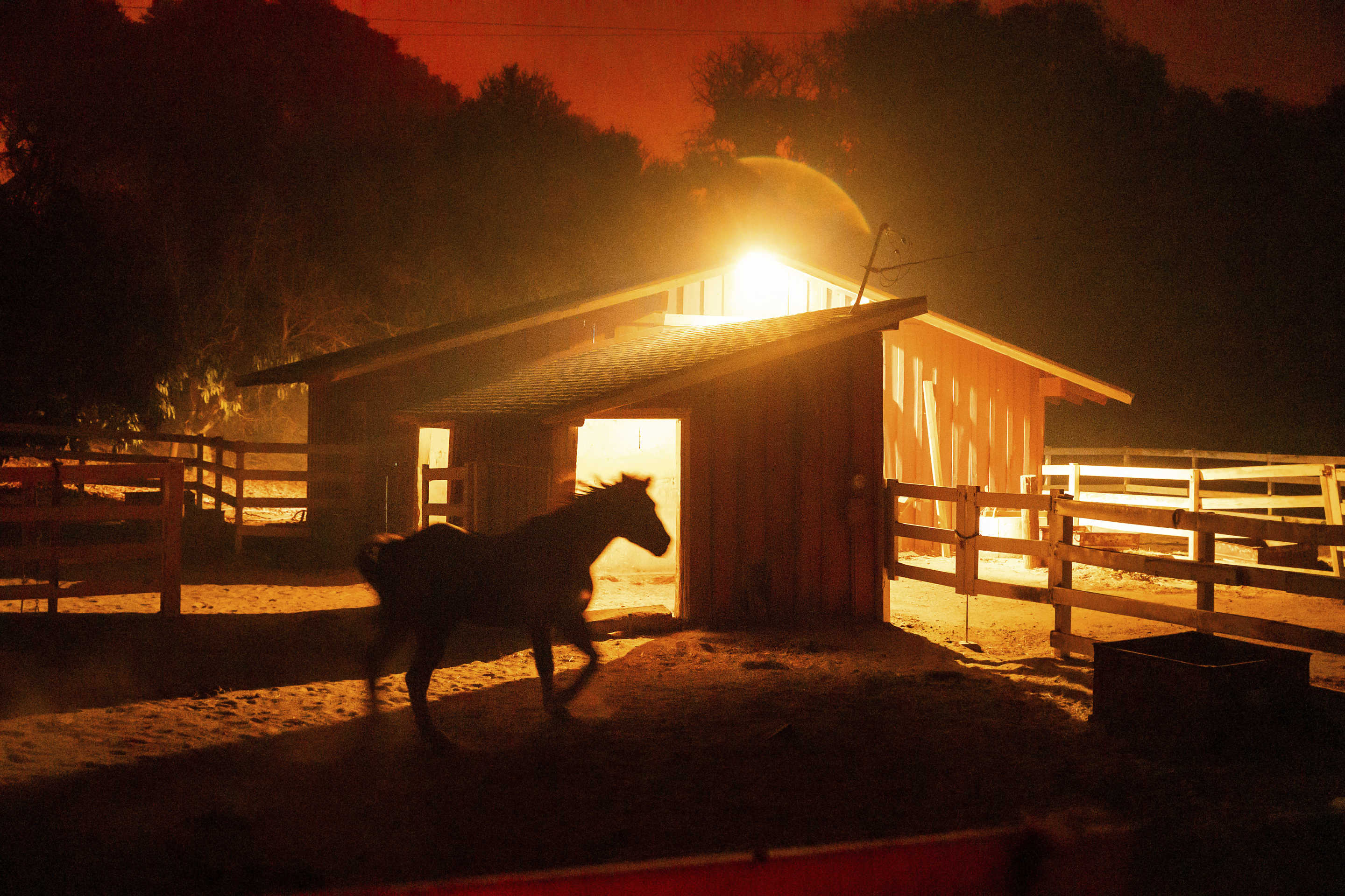 A horse in an enclosure in Santa Paula, Calif., as the Mountain Fire burns in the distance.