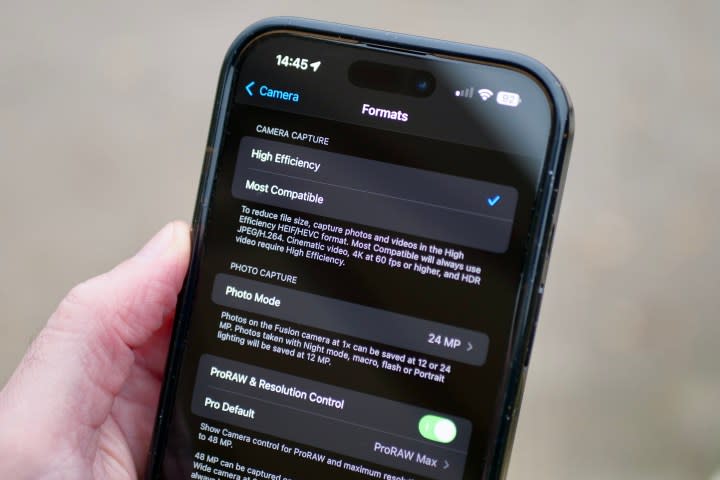 File formats for the camera on the Apple iPhone 16 Pro Max.