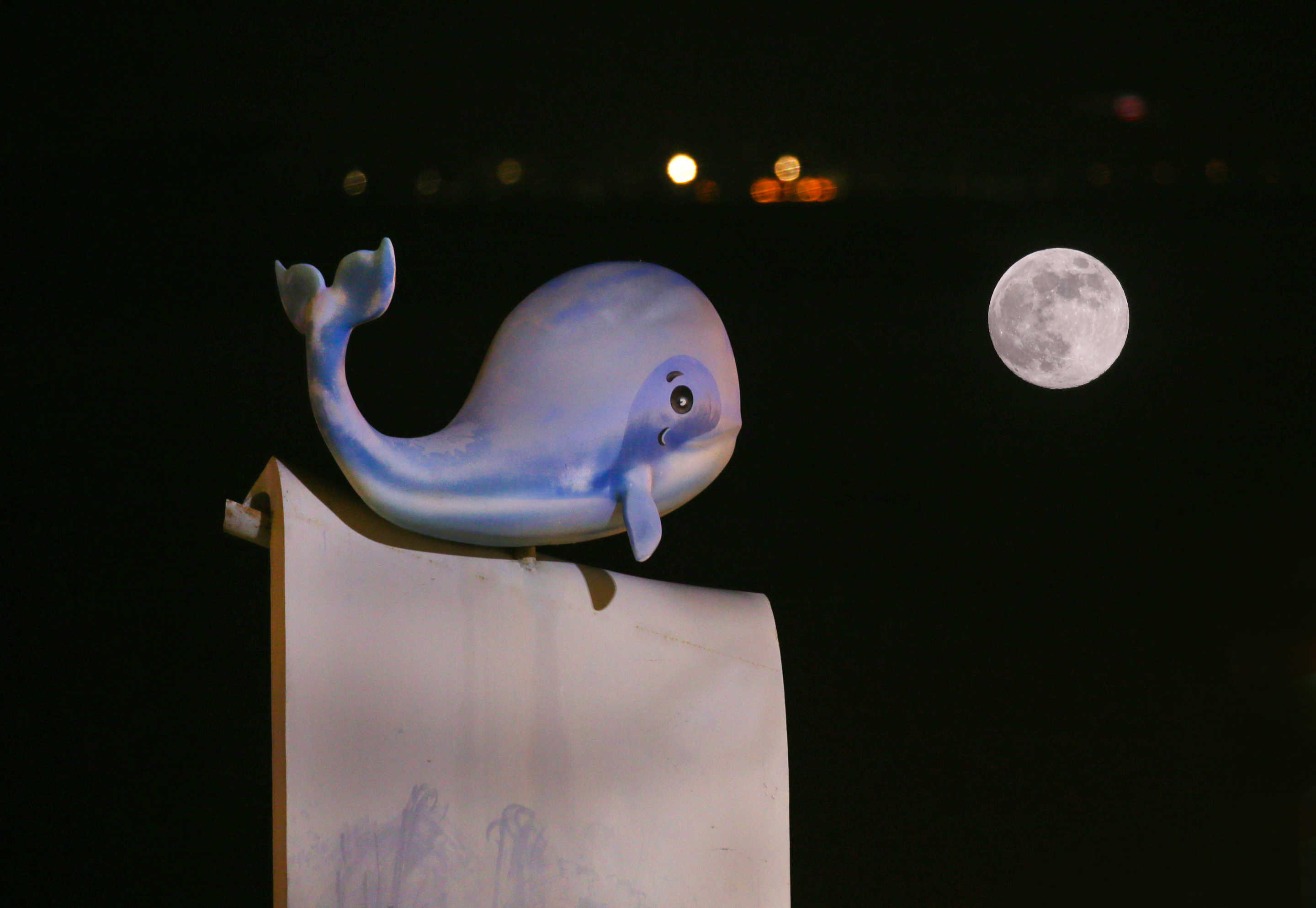 The supermoon is seen above a park in Lianyungang city, China on Friday.