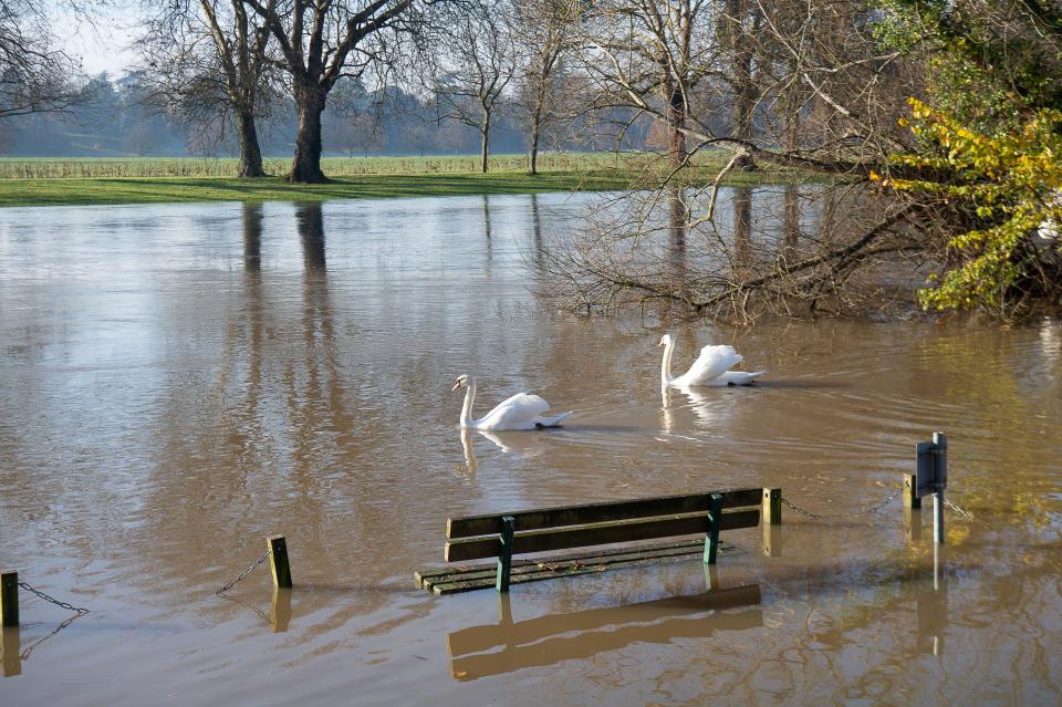 Datchet, UK. 28th November, 2024. A Flood Alert is in place for the River Thames from Datchet, Berkshire (pictured) to Shepperton Green. River levels are rising on the River Thames as a result of heavy rainfall from Storm Bert and Storm Conall. Therefore, flooding of low lying land and roads is expected to continue today, 28/11/2024. The forecast is currently for no further rainfall. River levels are still slowly rising and we expect levels to remain high over the coming days, however, property flooding is not currently expected. Credit: Maureen McLean/Alamy Live News