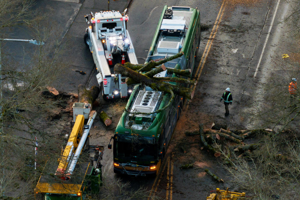 Crews work to remove a fallen tree from a bus in Seattle Wednesday. (David Ryder/Reuters)