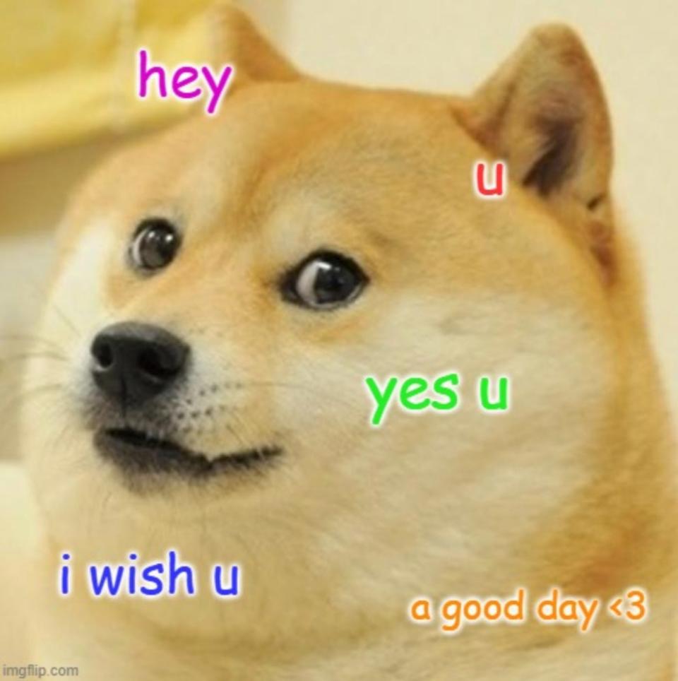 An image of a doge meme