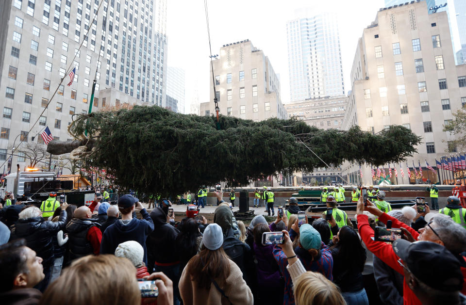 NEW YORK, NY - NOVEMBER 9: The Rockefeller Center Christmas tree is lifted off a truck after arriving  on November 9, 2024, in New York City.  (Photo by Gary Hershorn/Getty Images)