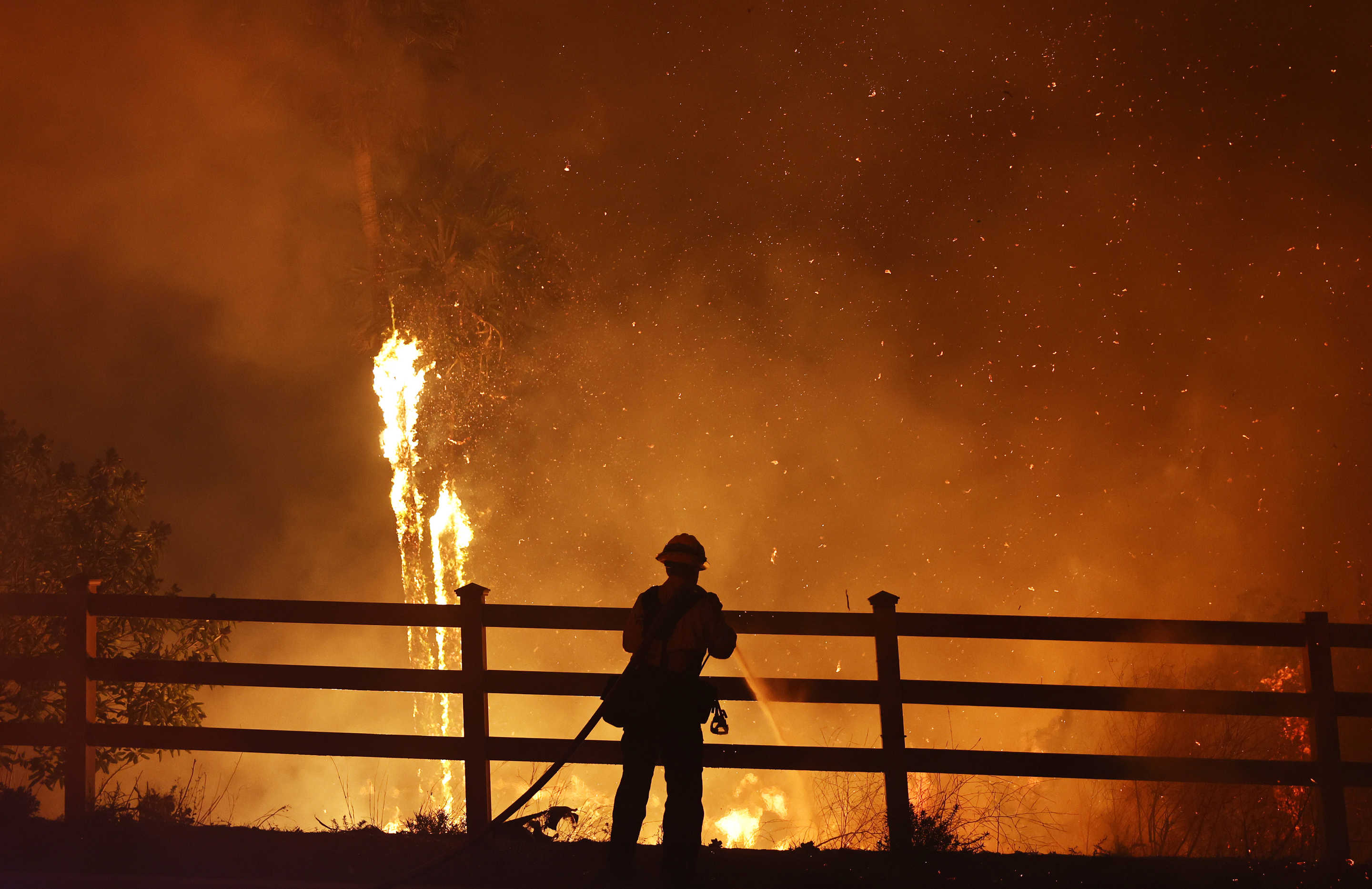 A firefighter hoses a palm tree from behind a fence.