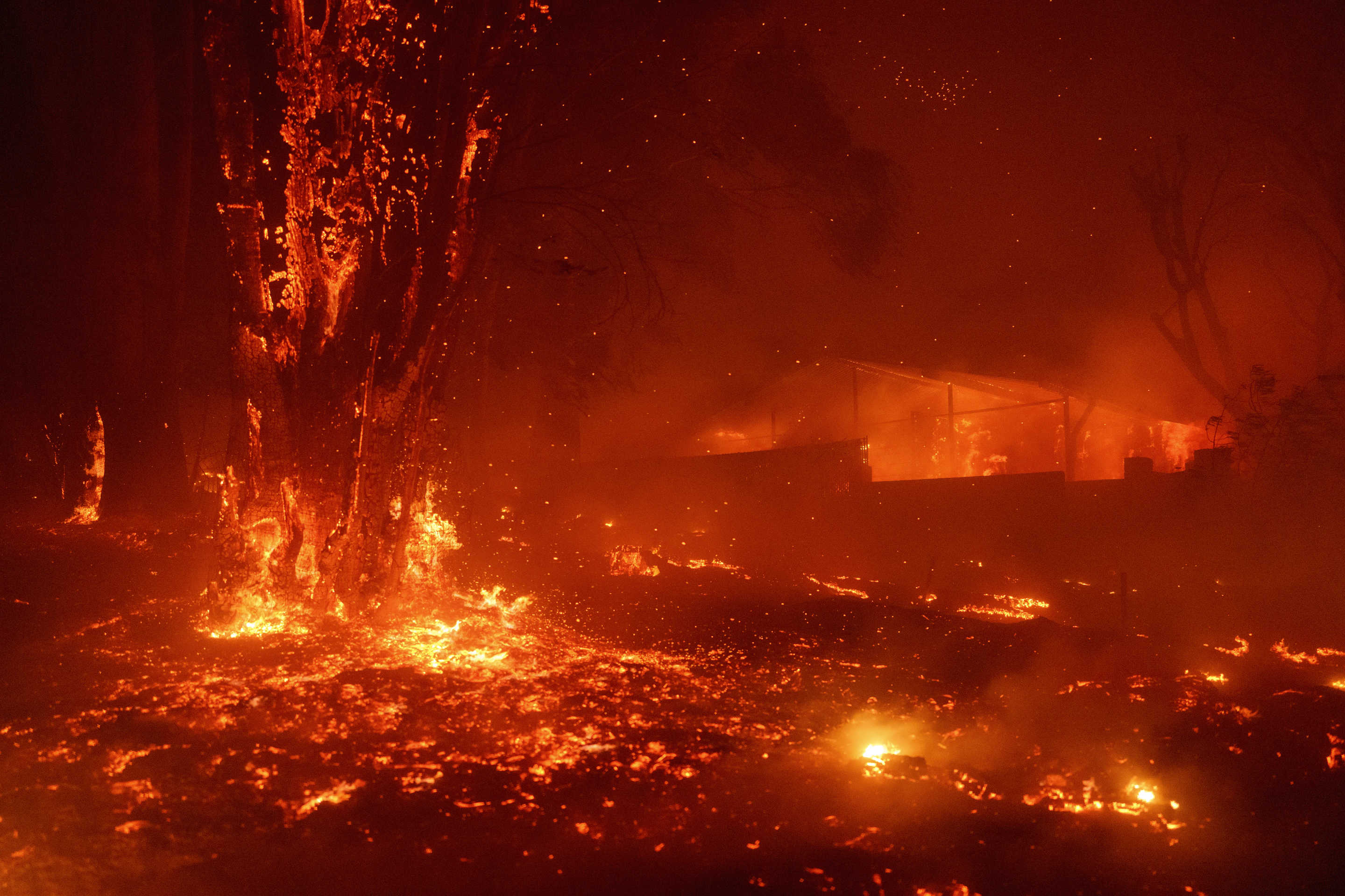 A suburban home burns as a tree in the front yard goes up in flames.