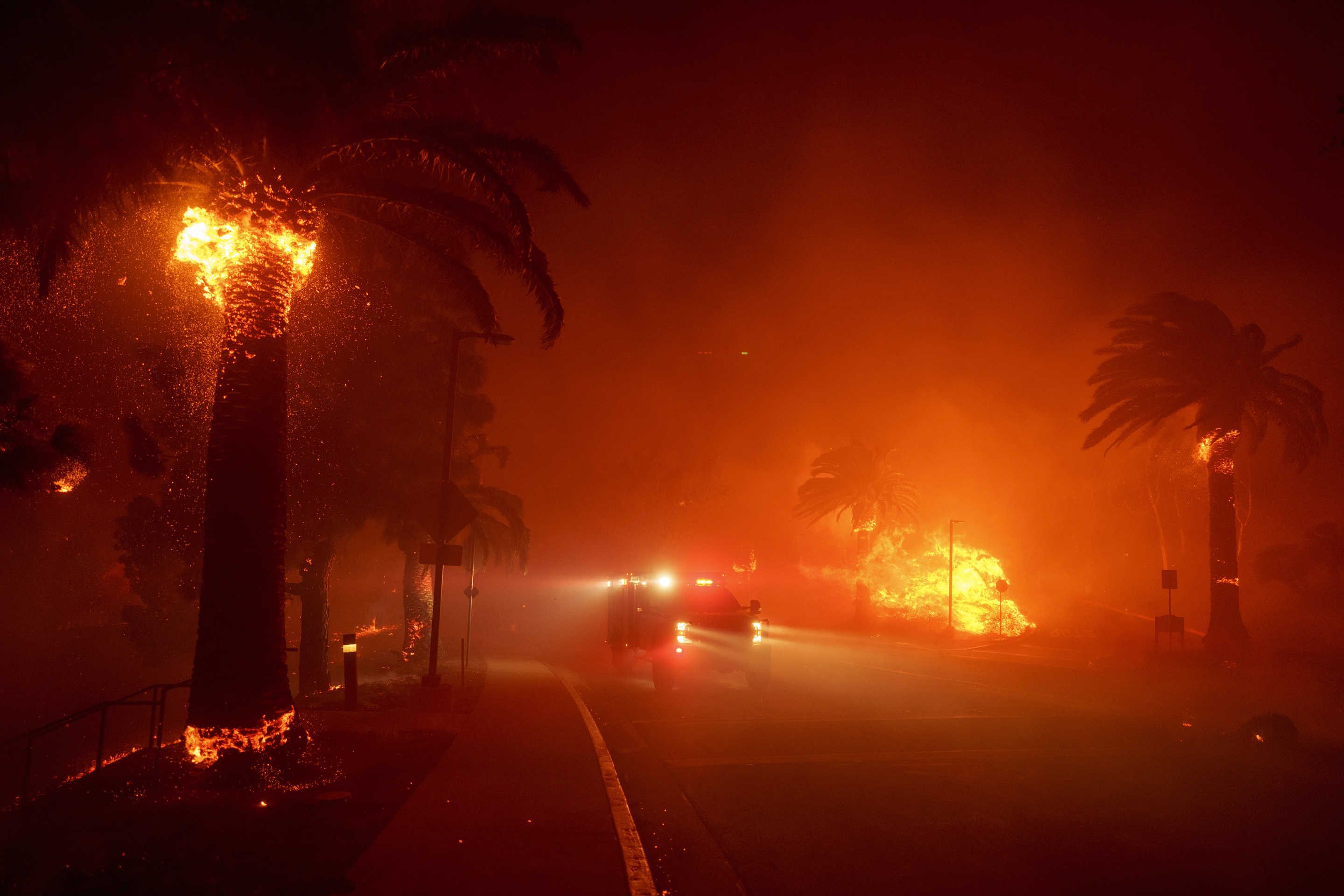 A fire engine drives past a flaming palm tree.