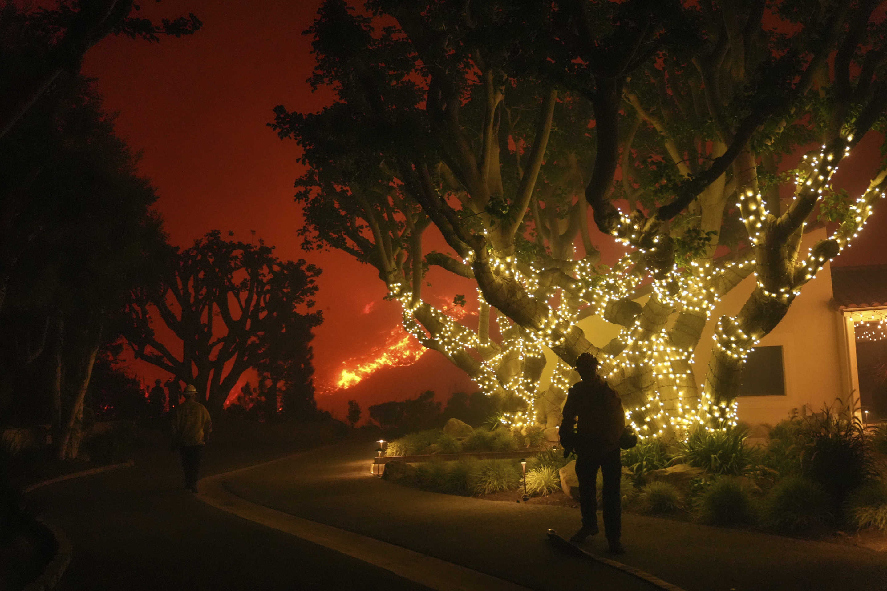 A firefighter silhouetted against Christmas lights draped around a tree in front of a residence.