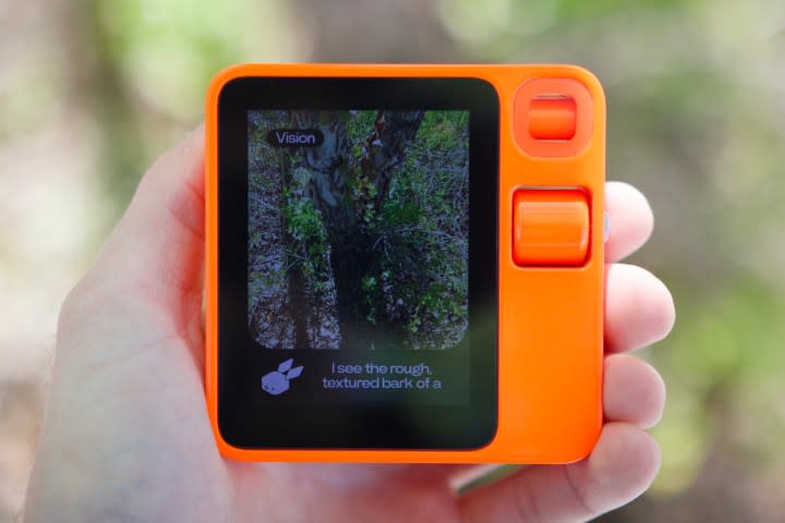 Vision mode on the Rabbit R1, identifying a nearby tree.