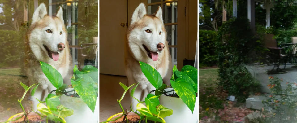 A photo of a dog with reflections, the photo cleaned up, and an image of the reflections themselves.