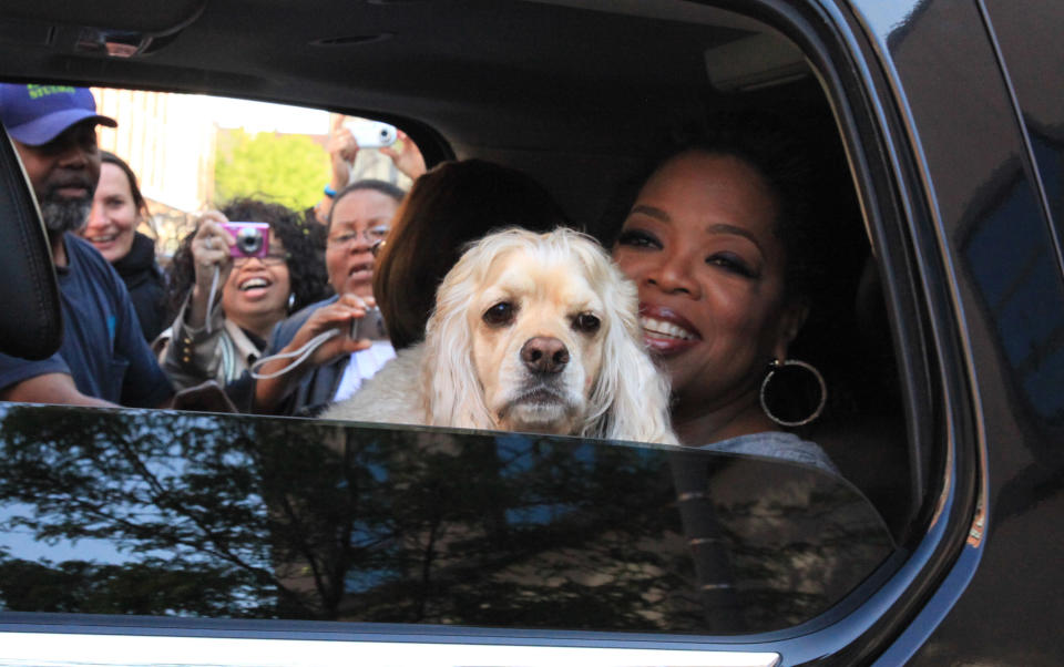 Oprah Winfrey, holding a spaniel, seen through the open window of a sleek, black vehicle, as a crowd of well-wishers try to snap a picture of her from the other side of the car.