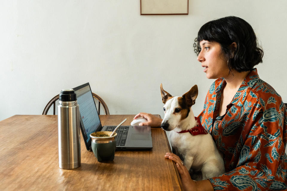 Mid adult woman using laptop with dog on lap at home